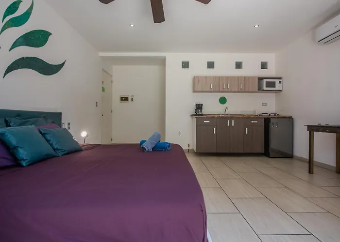 Iris Studios & Apartments
